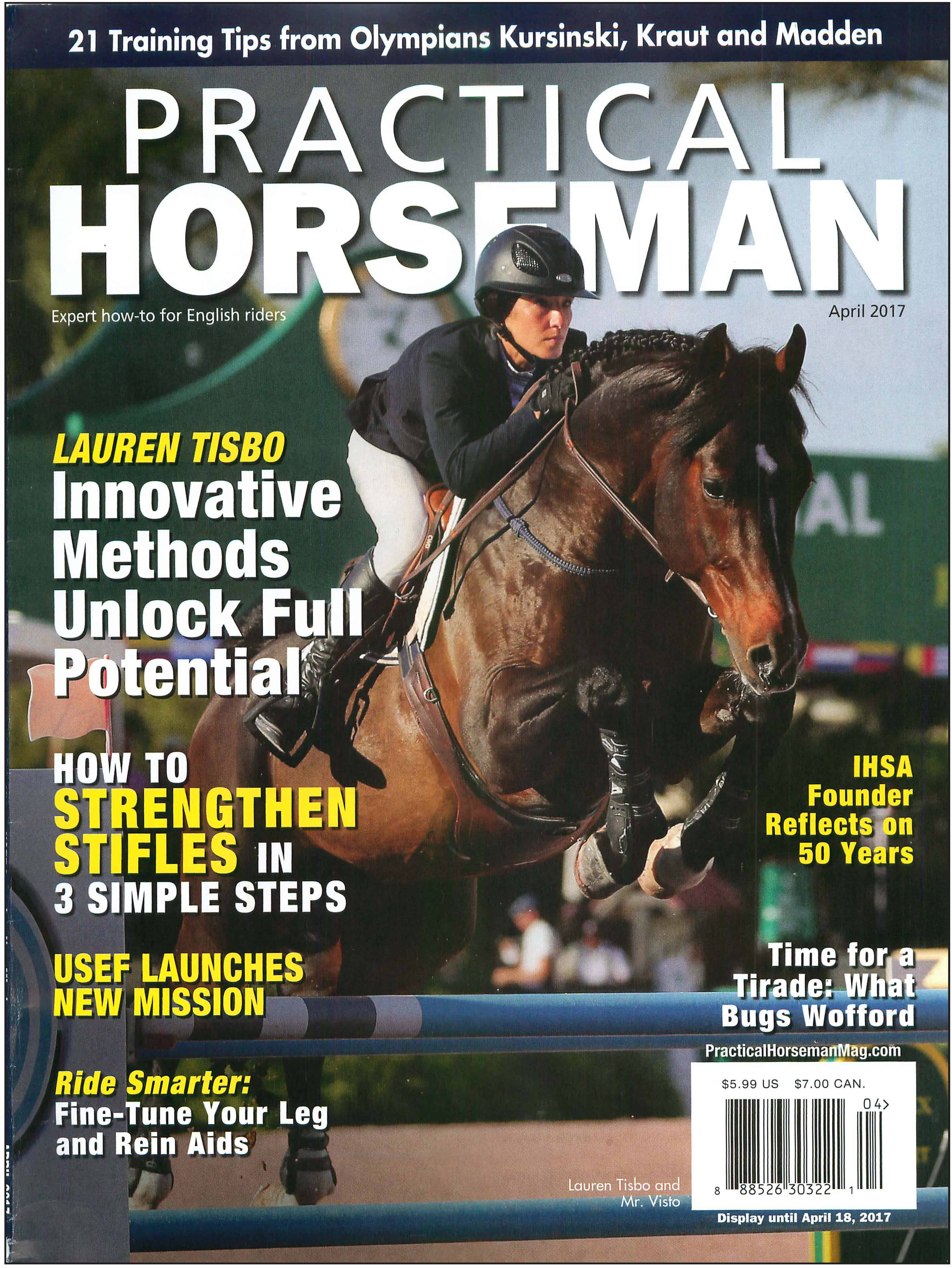 Mr. Visto Practical Horseman