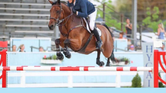 Paul O'Shea on Imerald, 2nd place Devon Horse Show